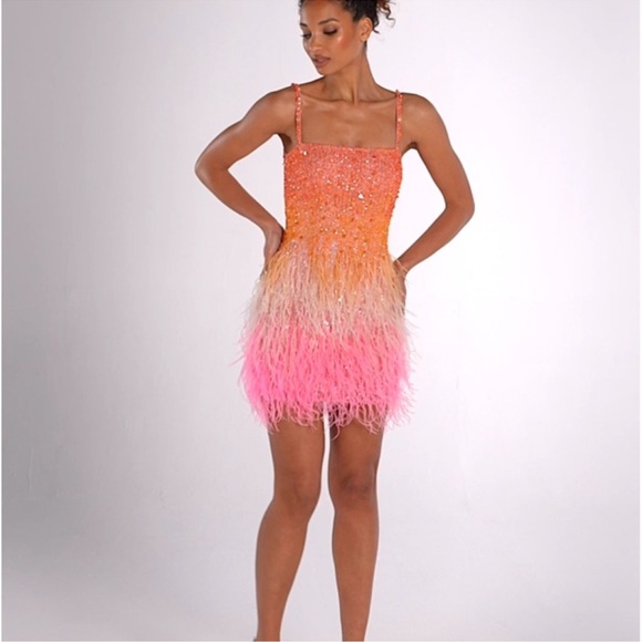 NADINE MERABI Cassie Sunset Dress sz XS NWT - Picture 4 of 11